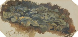 La Cava tekijältä Edward Lear