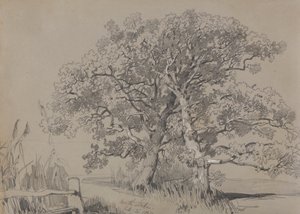 North Stoke. 21. lokakuuta 1834. tekijältä Edward Lear
