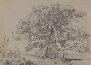 North Stoke. 21. lokakuuta 1834. tekijältä Edward Lear
