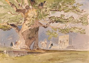 Matkalla, kaksi tuntia Tepelenestä, 19. huhtikuuta 1857. tekijältä Edward Lear
