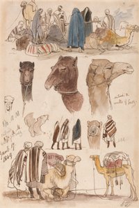 Suezin muurien ulkopuolella, kello 8.30, 17. tammikuuta 1849 (54) tekijältä Edward Lear