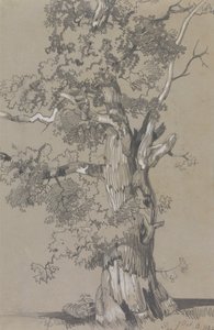 Parham, lokakuu 13.1834 tekijältä Edward Lear