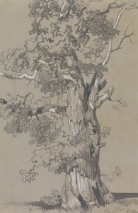 Parham, 13.10.1834 tekijältä Edward Lear