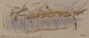 Pettenasco, Ortajärvi tekijältä Edward Lear