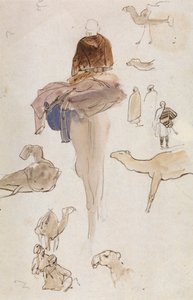 Kameleja koskevat tutkimukset tekijältä Edward Lear