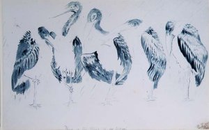 Haikaratutkimukset tekijältä Edward Lear