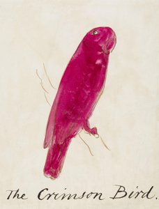 The Crimson Bird, kuudestatoista piirroksesta sarjakuvamaisia lintuja (tussi ja muste paperille). tekijältä Edward Lear