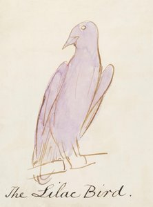 The Lilac Bird, kuudestatoista piirroksesta sarjakuvamaisia lintuja (kynä ja tussi wc paperille). tekijältä Edward Lear