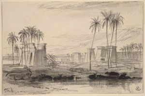 Theba tekijältä Edward Lear
