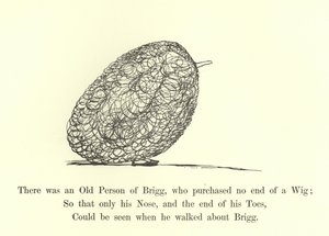 Oli eräs Briggin vanha henkilö, joka ei ostanut peruukkia tekijältä Edward Lear