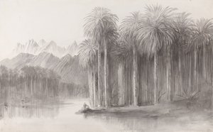 Wady Feiran, Siinai-vuoren niemimaa tekijältä Edward Lear