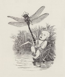 Kuvitus Charles Kingsleyn vesivauvoille (kaiverrus)