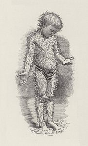 Kuvitus Charles Kingsleyn vesivauvoille (kaiverrus) tekijältä Edward Linley (after) Sambourne