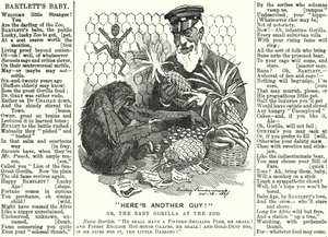Punch-sarjakuva: Abraham Dee Bartlett, Lontoon eläintarhan superintendentti ja gorillanpoika (kaiverrus) tekijältä Edward Linley (after) Sambourne