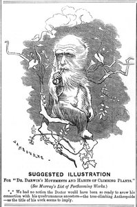 Charles Darwin, englantilainen luonnontieteilijä, 1875