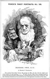 Richard Owen, englantilainen eläintieteilijä, 1884 tekijältä Edward Linley Sambourne