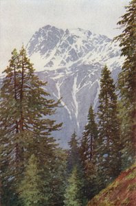 Kotwal metsästä Kanganin yllä, Sind Valley