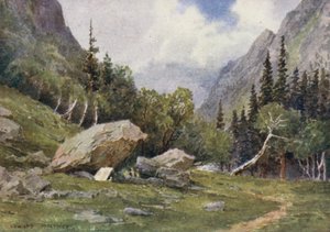 Leirintäalue Lidarwatissa tekijältä Edward Mary Joseph Molyneux