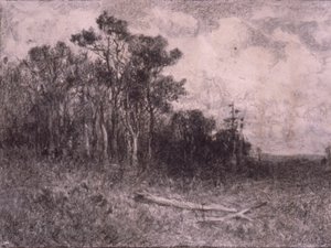 Maisema, Metsämaisema tekijältä Edward Mitchell Bannister