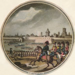 Pampelunan taistelu, 1815, 1910