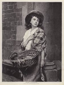 Makea laventeli (litho)