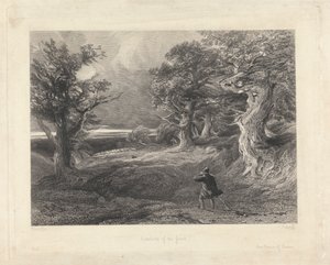 Metsän laitamilla