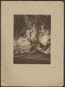 Apache-Black River (Syycamoren luona) tekijältä Edward S. Curtis
