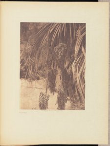 Palmun hedelmät tekijältä Edward S. Curtis