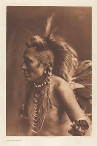 Portfolio VI, levy 194: Gambler - Piegan