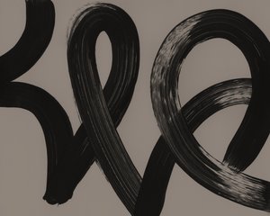 Dynaamiset mustat viivat tekijältä Edward Selkirk
