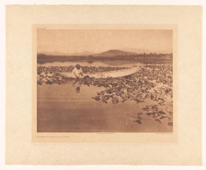 Wokien kerääminen – Klamath tekijältä Edward Sheriff Curtis