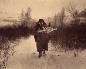 Leirille menossa. Apsaroke-intiaani kantaa puuta lumessa pienellä talvileirillä lähellä puroa Pryor-vuorilla, Montanassa. Kuva otettu Edward S. Curtisin (1868-1952) Pohjois-Amerikan intiaaneja käsittelevän tietosanakirjan osasta 4, jossa tekijältä Edward Sheriff Curtis