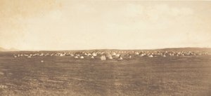 Sun Dance Campment - Piegan, 1900. tekijältä Edward Sheriff Curtis