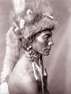 Keltainen munuainen, Piegan tekijältä Edward Sheriff Curtis
