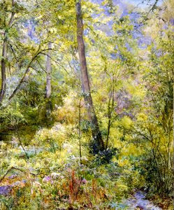 Dappled Sunlight, Sheepscombe Woodsfinnish tekijältä Edward Steel Harper