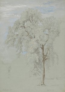 Saarni tekijältä Edward Swinburne