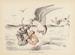 Hännät kierteellä: Albatross (väri litho) tekijältä Edward Tennyson Reed