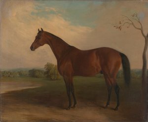 Suvereeni tekijältä Edward Troye