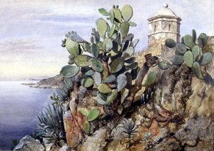Opuntia-kaktus, Monaco tekijältä Edward William Cooke