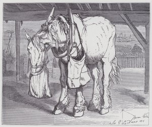 Kärryjen hevonen tekijältä Edwin (after) Landseer