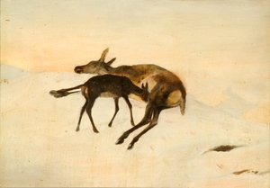 Satunnainen laukaus (öljyä aluksella) tekijältä Edwin (after) Landseer