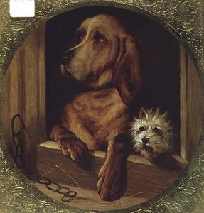 Jaettu kennel