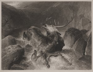 Hirven kuolema, kaiverrus John Cousen (1804-80)