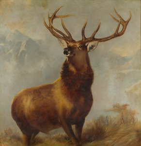 Monarch of the Glen (öljy kankaalle)