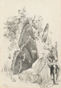 Bottom and Titania, kuvitus juhannusyöstä tekijältä Edwin Austin Abbey