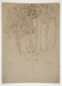 Luonnos puulehdosta tekijältä Edwin Austin Abbey