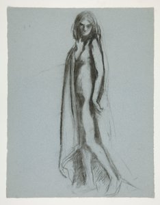 Tutkimus hahmolle klo 19.00 tekijältä Edwin Austin Abbey