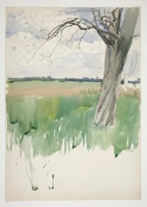 Pellon ja puun tutkimus tekijältä Edwin Austin Abbey