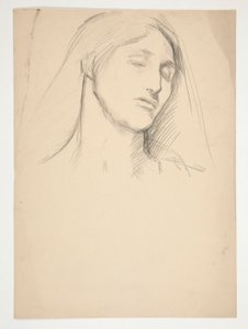 Tutkimus naisesta tekijältä Edwin Austin Abbey