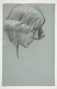 Nuoren miehen tutkimus tekijältä Edwin Austin Abbey